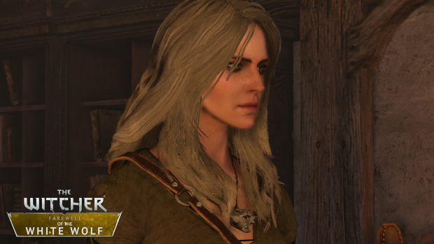 The Witcher: Hi-Res Character Models - ModDB