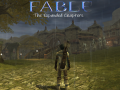 Fable: The Expanded Chapters