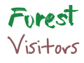 Forest Visitors
