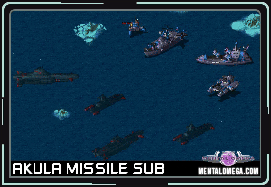 Soviet Akula Missile Sub