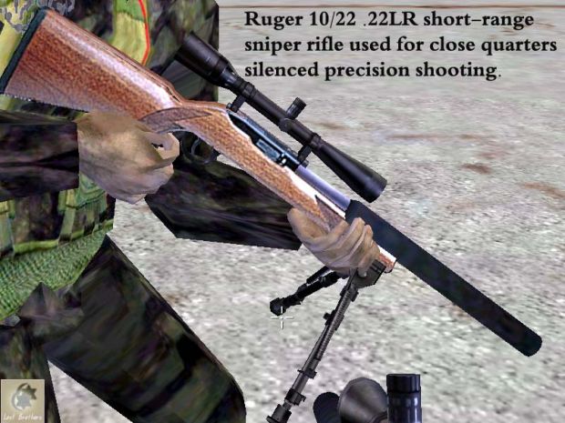 Ruger 10/22 Silenced