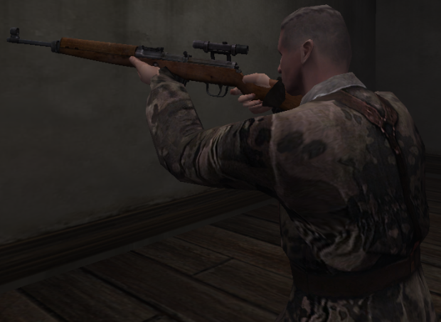 NPC wielding G43 sniper