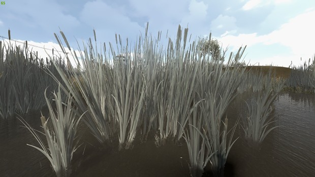 New reed textures for SunRise
