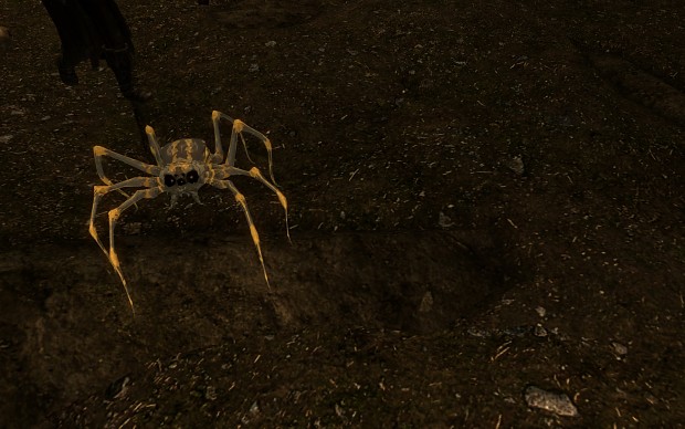 Pack Spiders 14