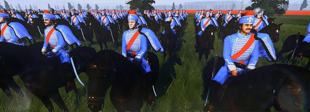 French hussars 11
