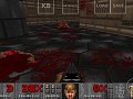 Doom blood mod