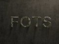 Total Fots: Fall of the Dragon Empire