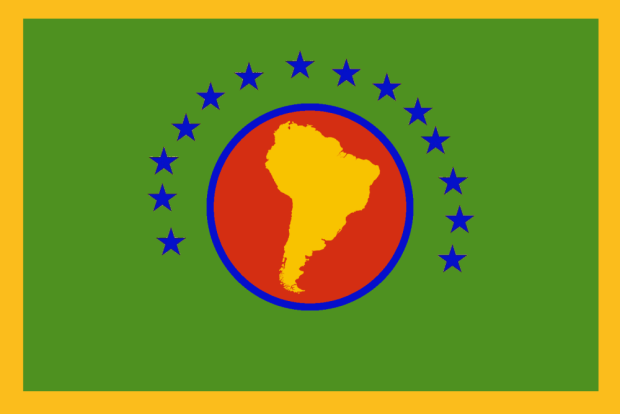 Flag of the RIO