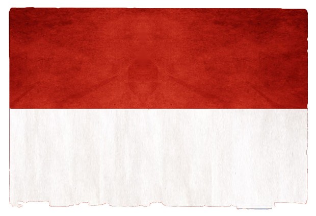 indonesian grunge flag 2