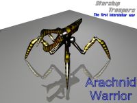 Warrior Bug