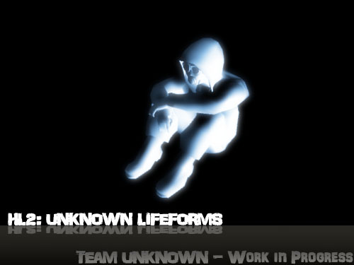 Team Unknown - Player Model