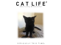 Cat-Life: 2