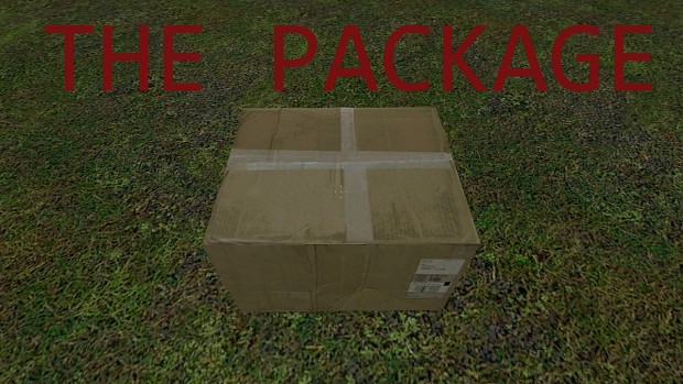 the package lego 1