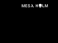 Mesa Holm