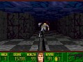 Rise of the Triad: Wolfenstein 3D Part II mod earl