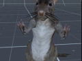 dancing rat