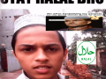 Halal-Life: 1