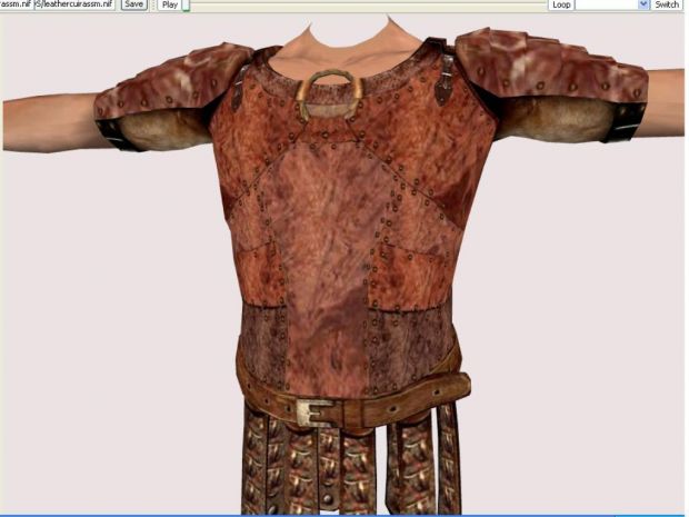 Leather Armour (1)