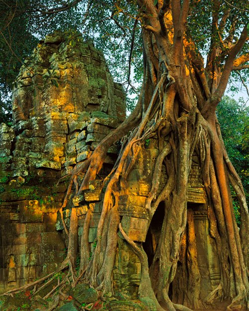 Cambodian ruins