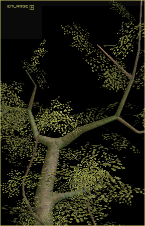 Mangrove tree model by Redeyes