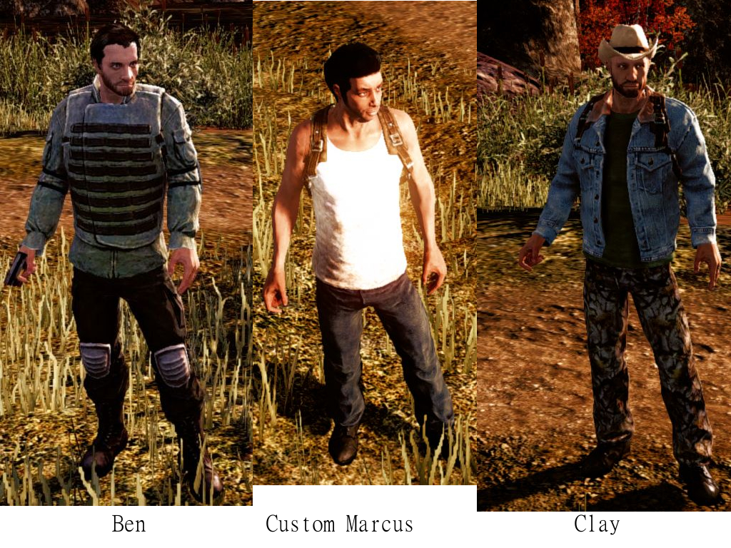 marcus state of decay