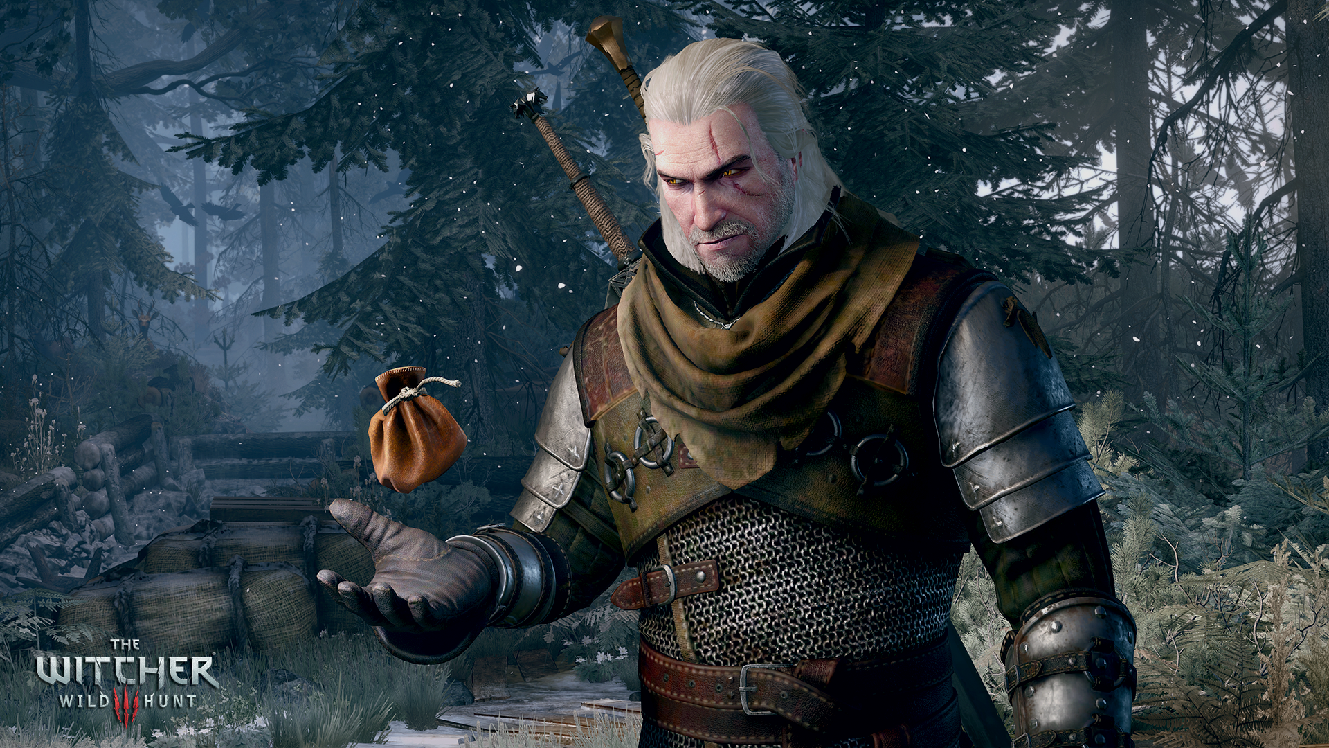 The Witcher 3: Wild Hunt Tips and Tricks