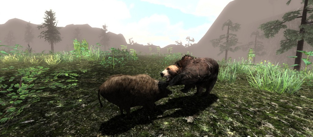 bear vs boar