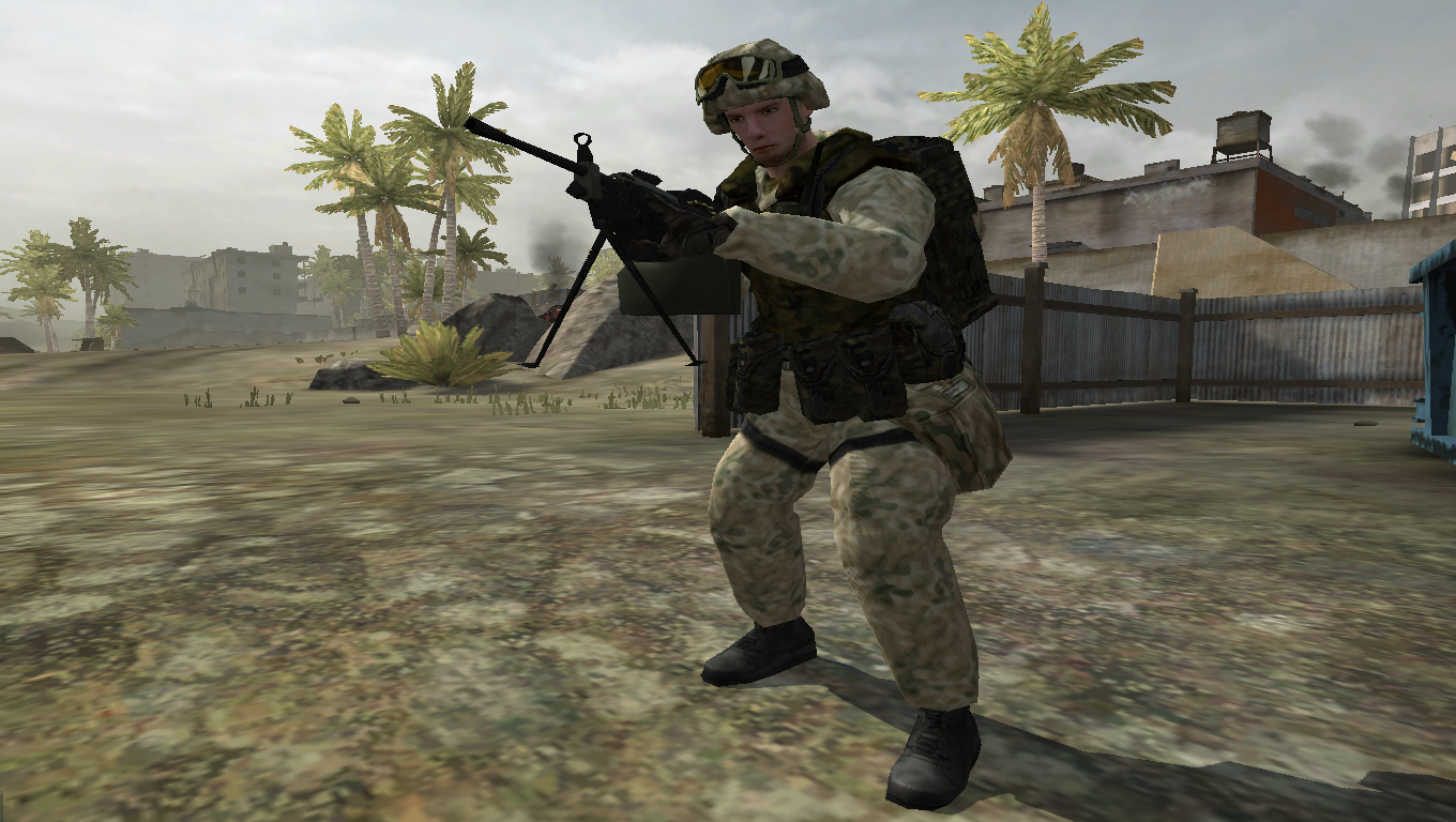 Polish Infantry - WIP news - Codename Flashpoint mod for Battlefield 2 ...