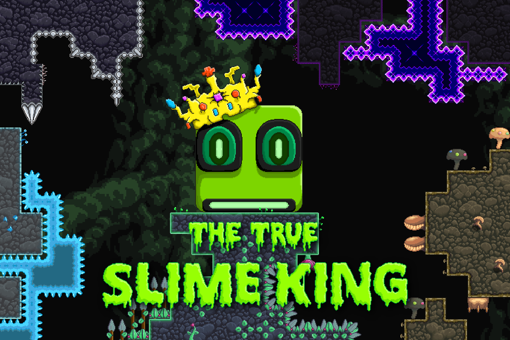 Slime king. Игра King Slime. King Slime статы. Slime King Nocs. Самый редкий босс в Slime King Tower.