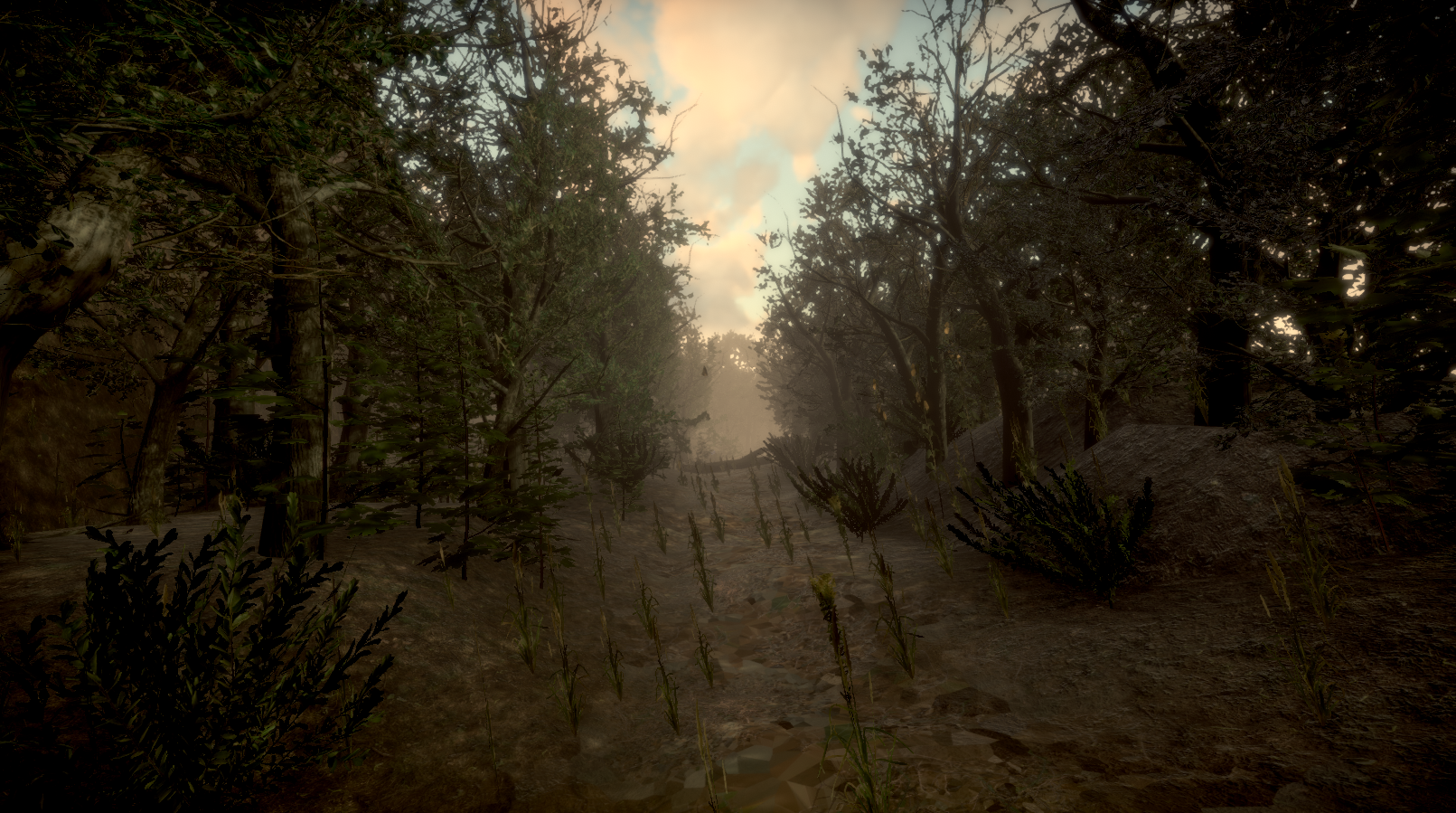 forest_path.png