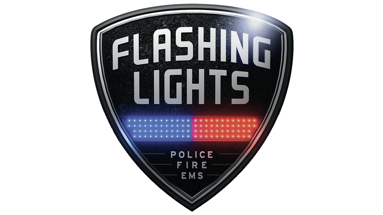 Ems flash. Flashing Lights игра. Flashing Lights - Police Fire ems. Flashlight логотип. Flashing Lights ДПС.