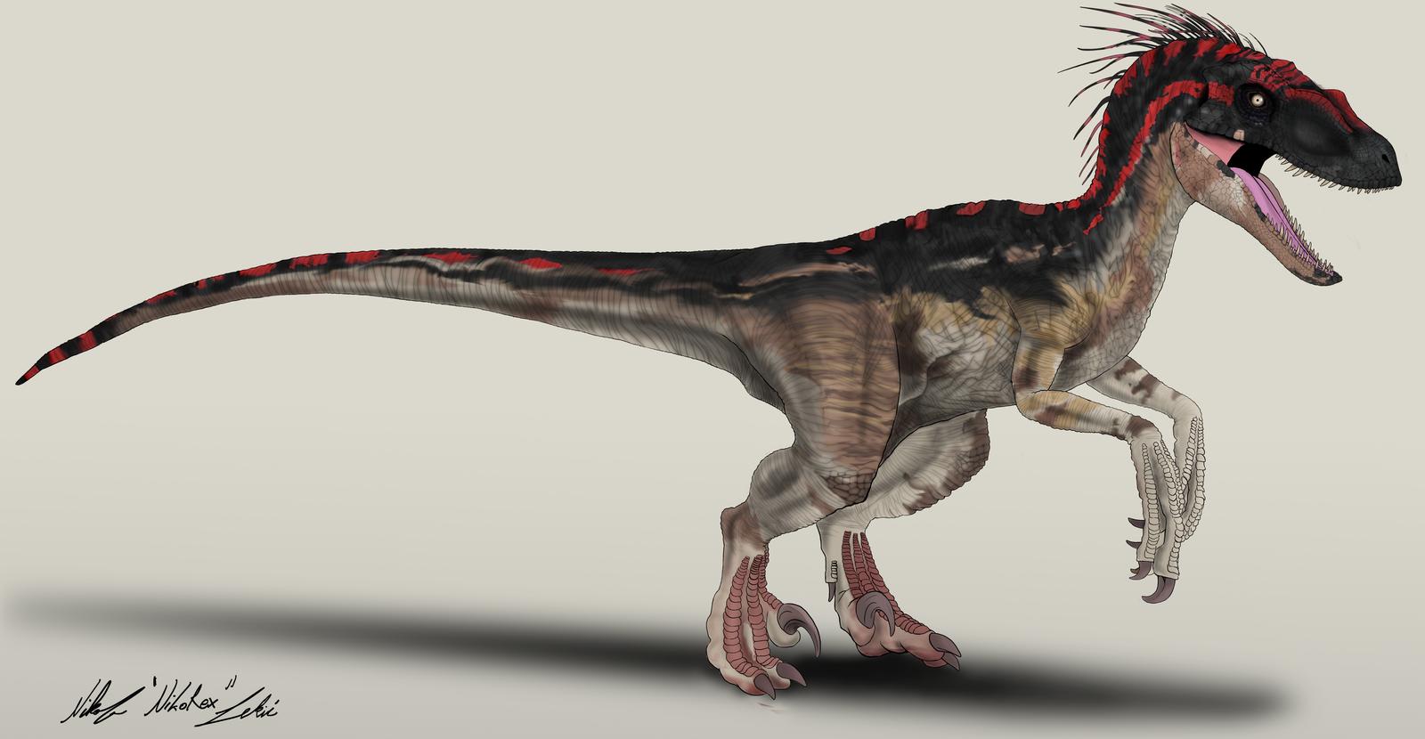 Jurassic World Concept: Red by NikoRex on DeviantArt