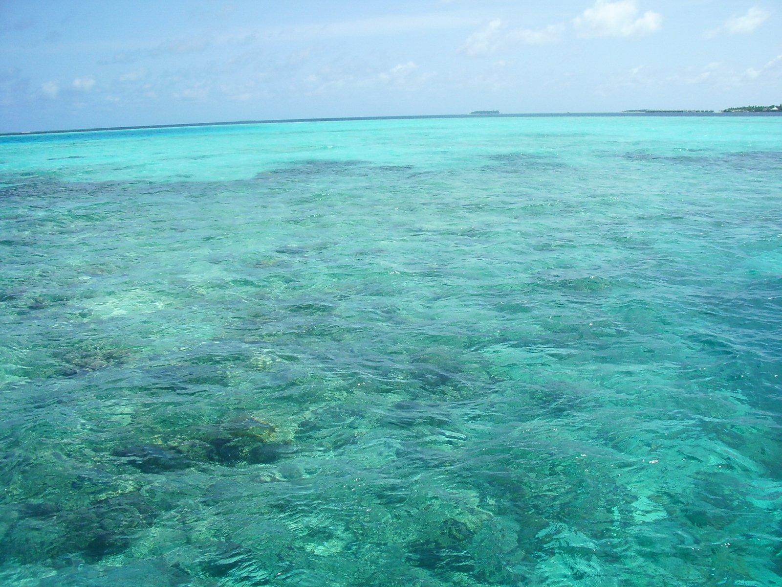 Индийский океан какая вода. Индийский океан Мальдивы. Цвет индийского океана. Индийский океан цвет воды. Риф на Мальдивах.