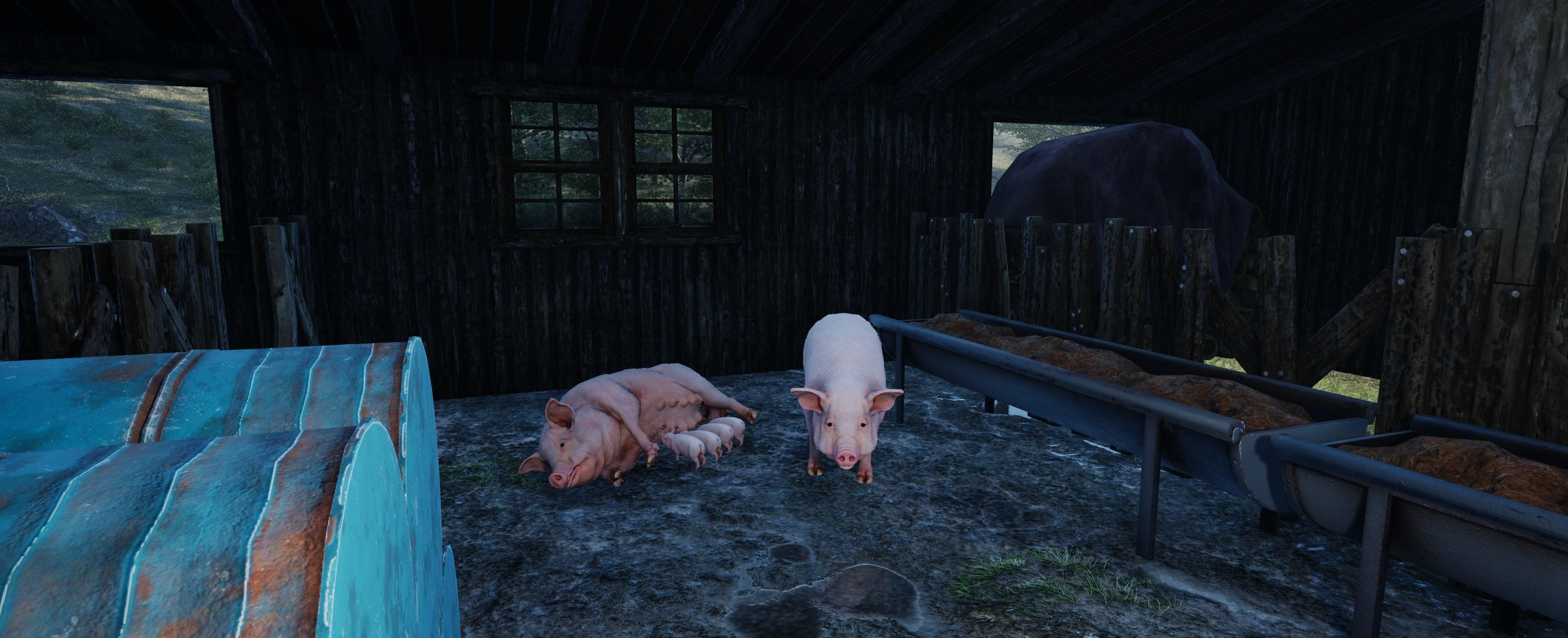 BUILDING A BARN AND GETTING PIGS, Ranch Simulator