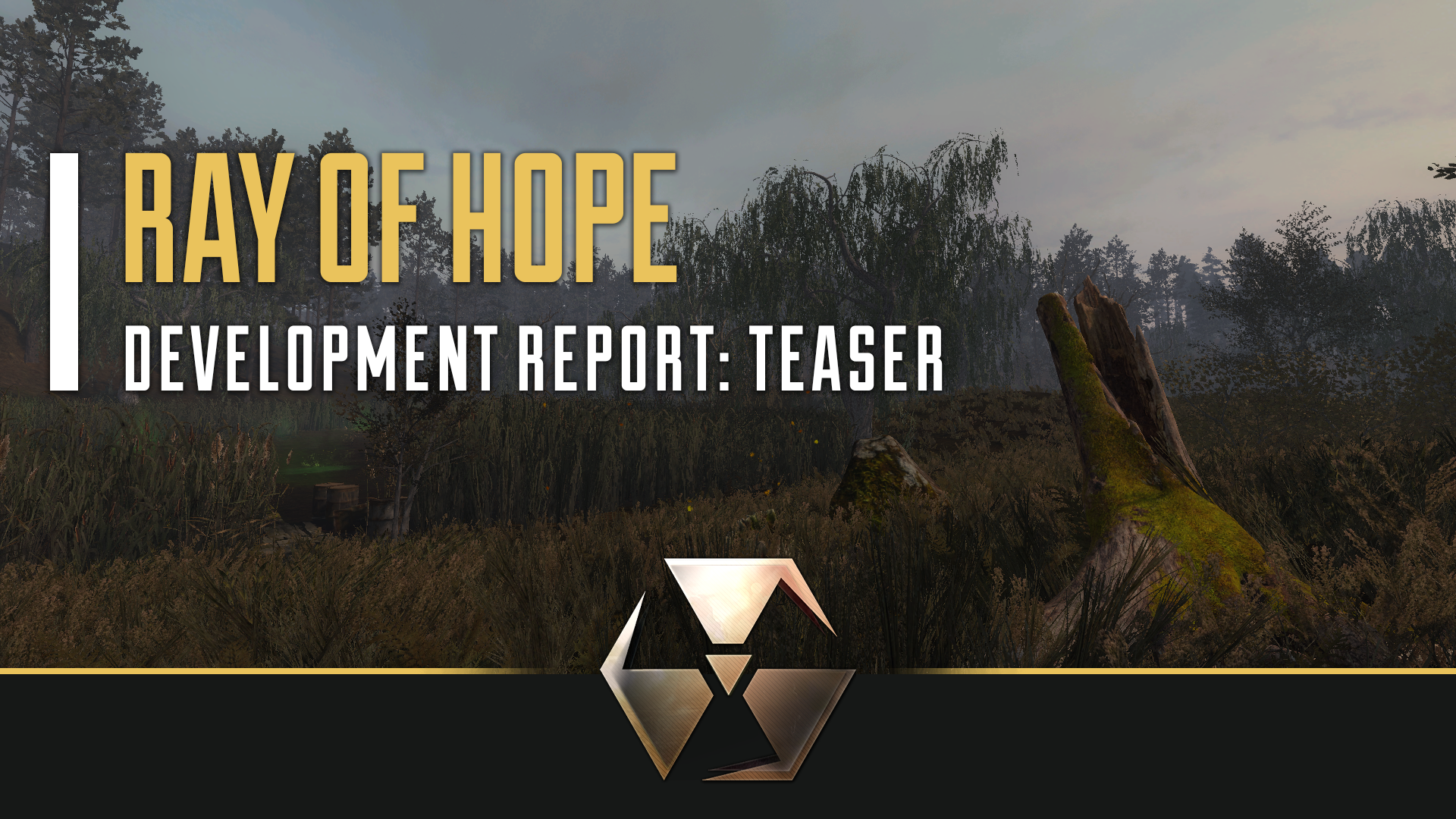 Hope development. Stalker News.