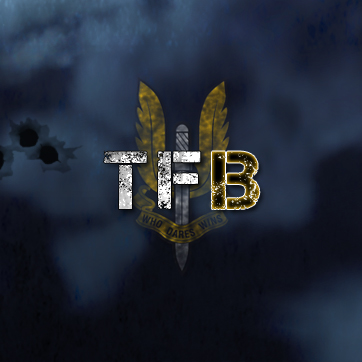 Task Force Black - News [28/11/10] - ModDB