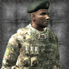 Royal Marines Infantry: Elite British infantry.