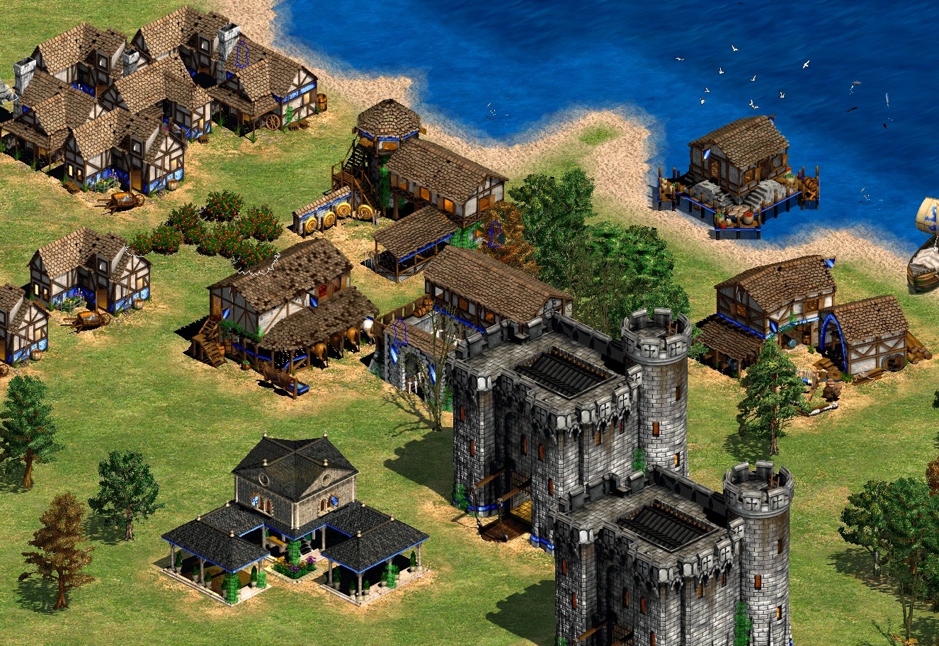 Steam age of empires 2 remastered фото 97