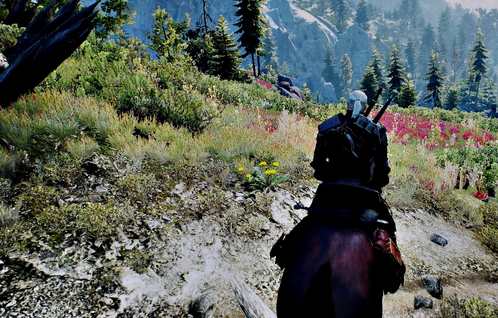 witcher 3 visual mods