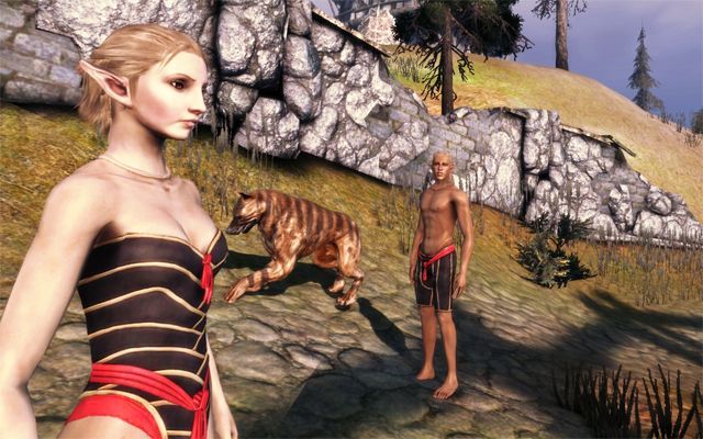 dragon age origins body mods