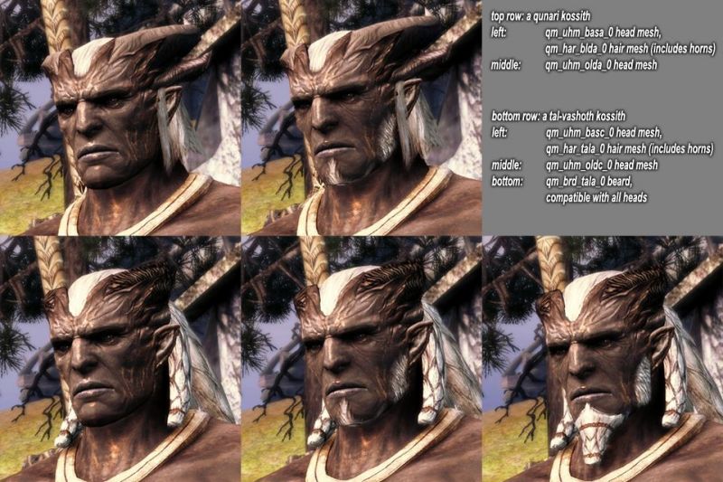 neutral teeth file - tmp7704 mod for Dragon Age: Origins - Mod DB