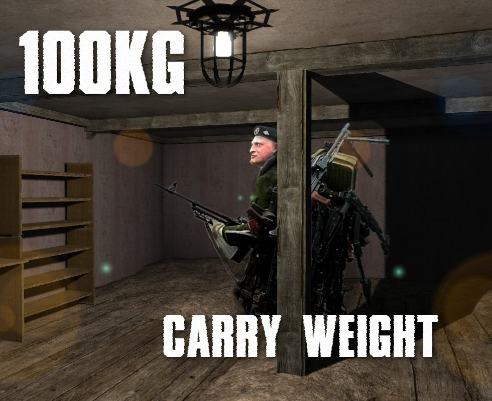 stalker call of pripyat change carry weight