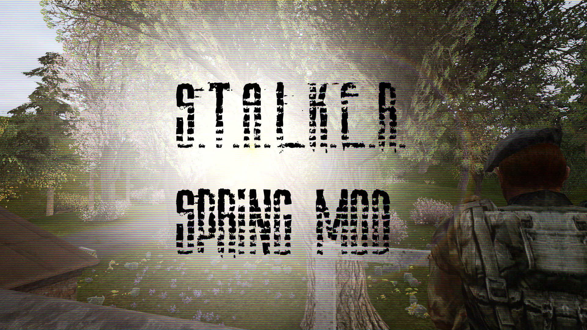 S.T.A.L.K.E.R обои стрельба в лесу. Call of chernobyl mods