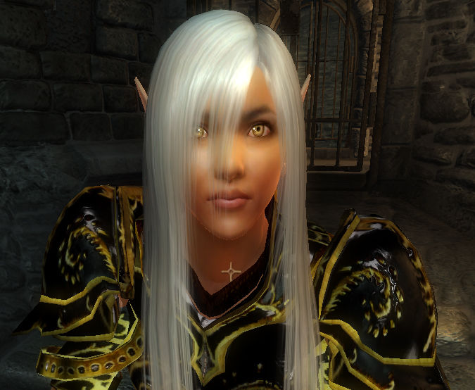 Nec Mystic Dark Elf 1.2 addon - Elder Scrolls IV: Oblivion.