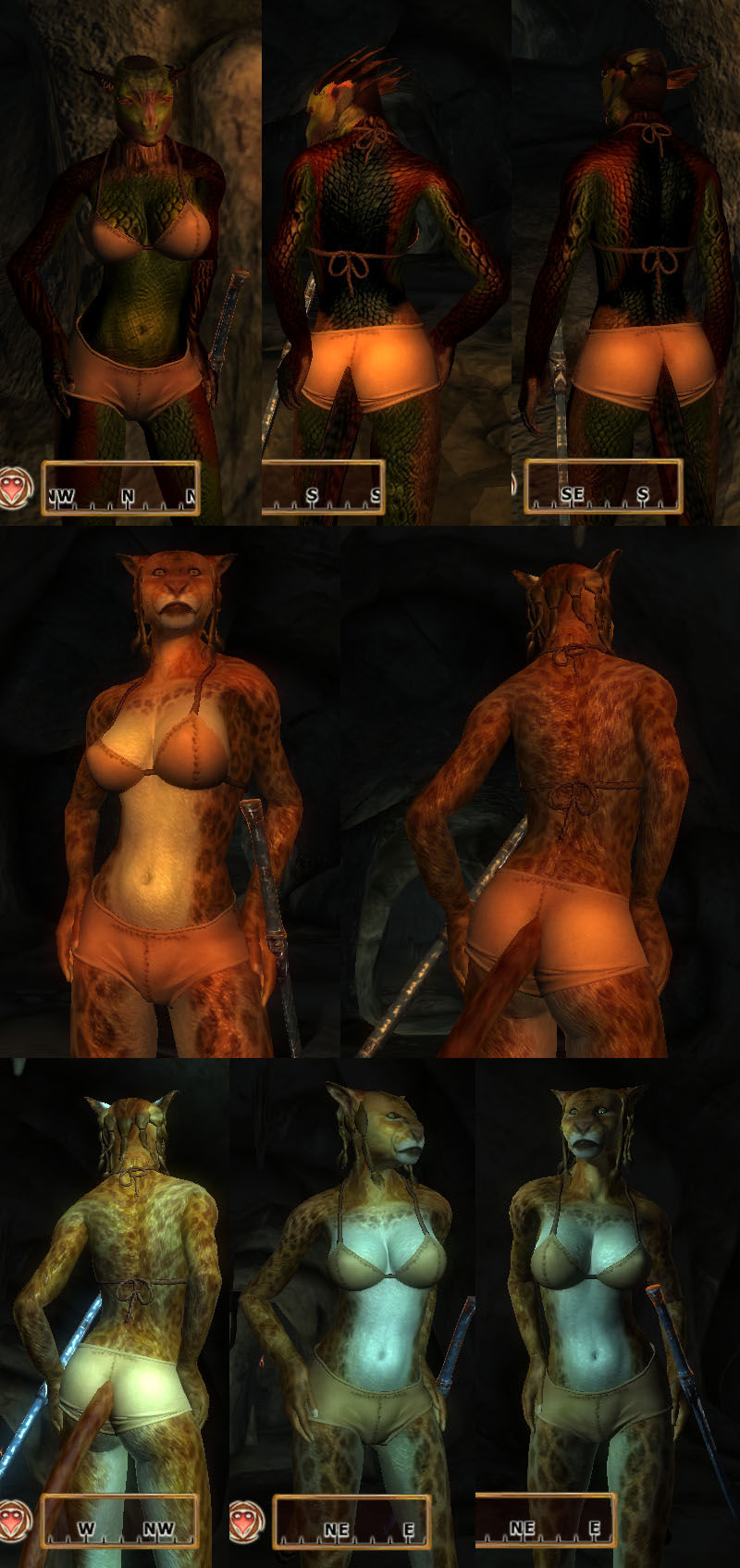 Female EyeCandy Body Replacer 1.0 (Underwear) OMOD Version addon - Elder  Scrolls IV: Oblivion - ModDB