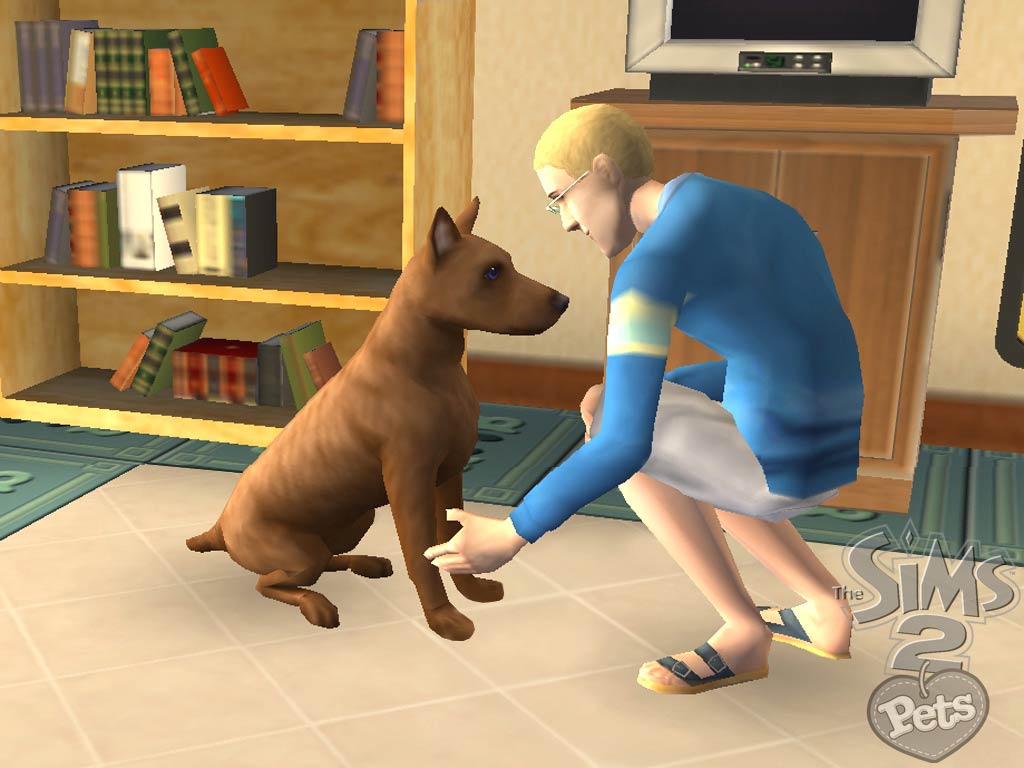 Симс петс. The SIMS 2: питомцы. The SIMS 2 Pets (ps2). Игра the SIMS 4 питомцы. The SIMS 2 Wii.