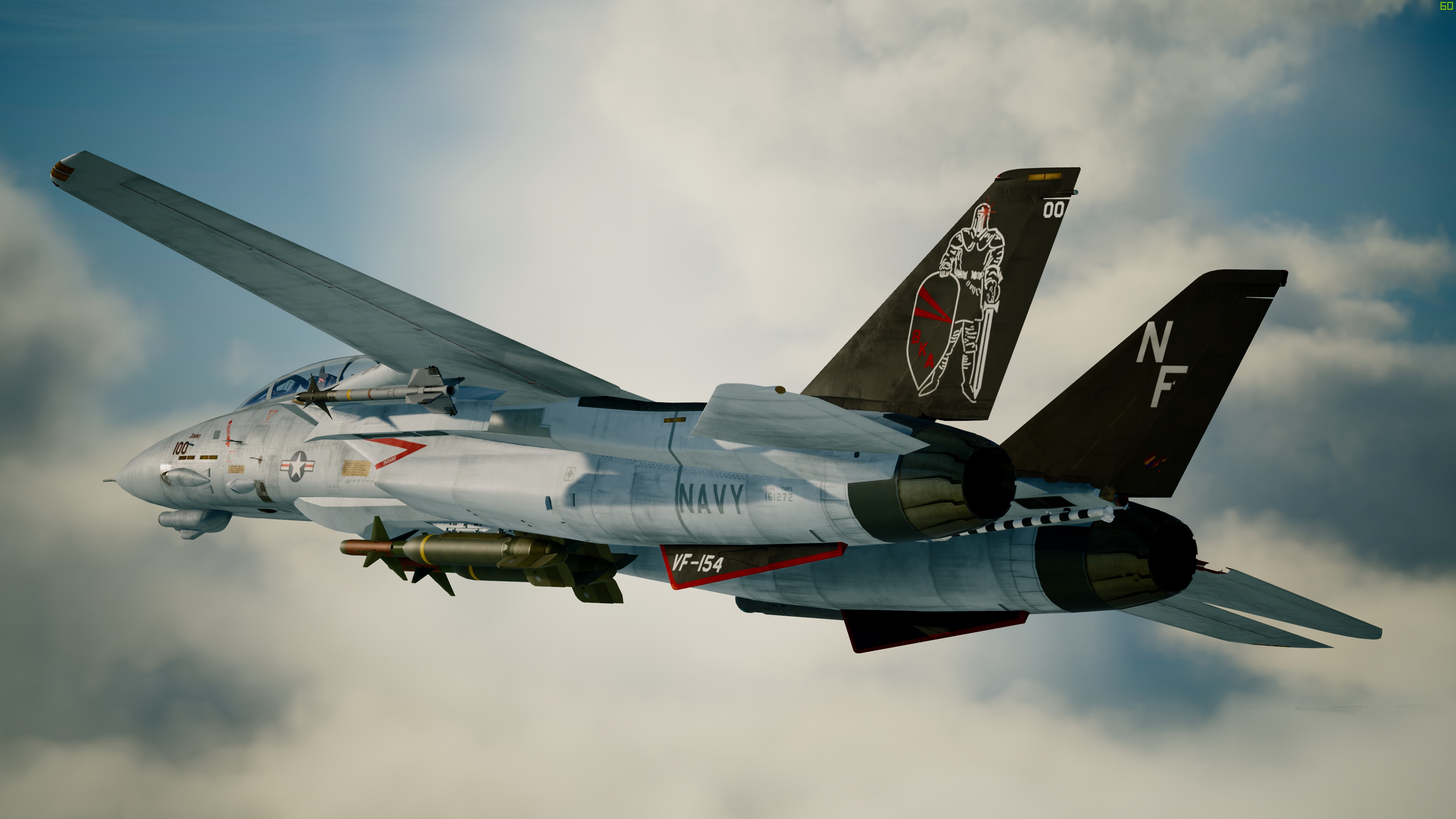 F-14D VF-154 Black Knights CAG Bird addon - Ace Combat 7: Skies 