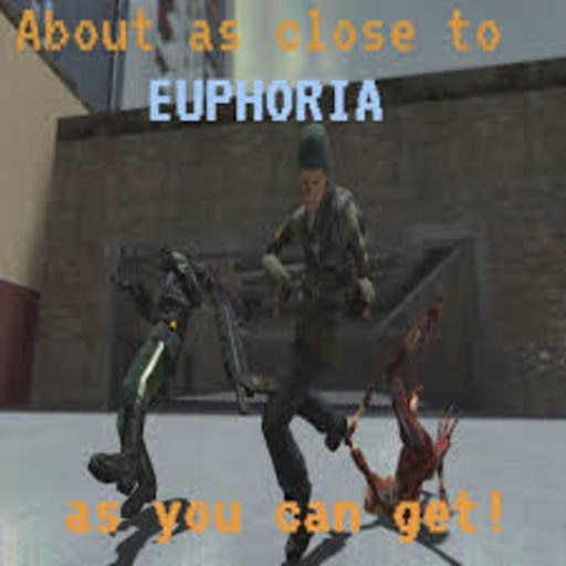 Euphorically - A Player Euphoria Mod 