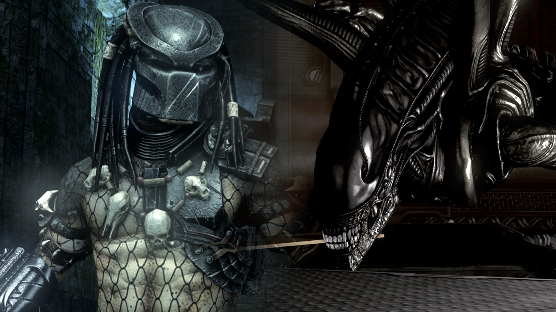 HD wallpaper: Predator, AVP: Alien vs. Predator