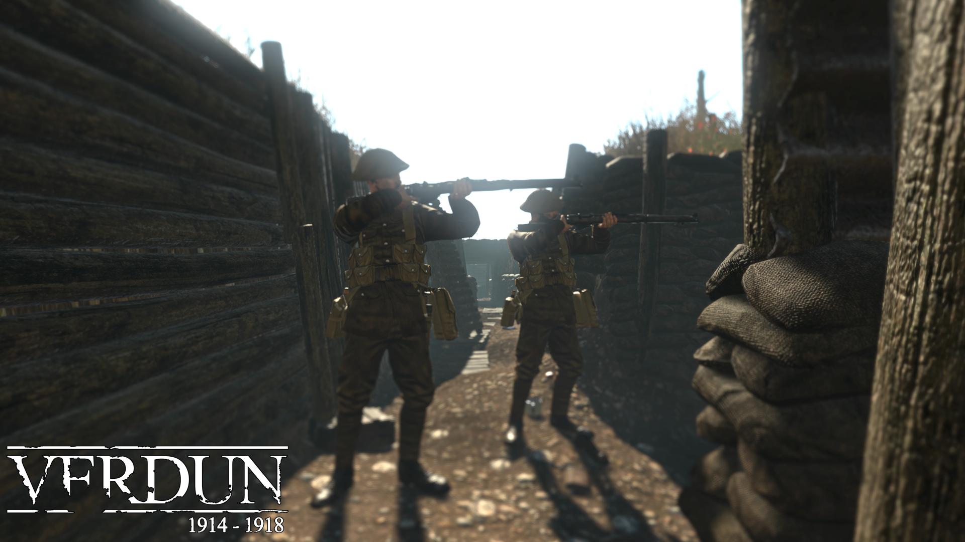 Verdun steam key фото 2